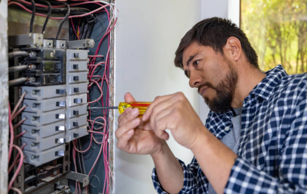 Best Home Electrical Repair  in Chester, IL